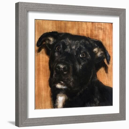 Puppy Dog Eyes I-Walt Johnson-Framed Art Print