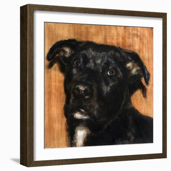 Puppy Dog Eyes I-Walt Johnson-Framed Art Print