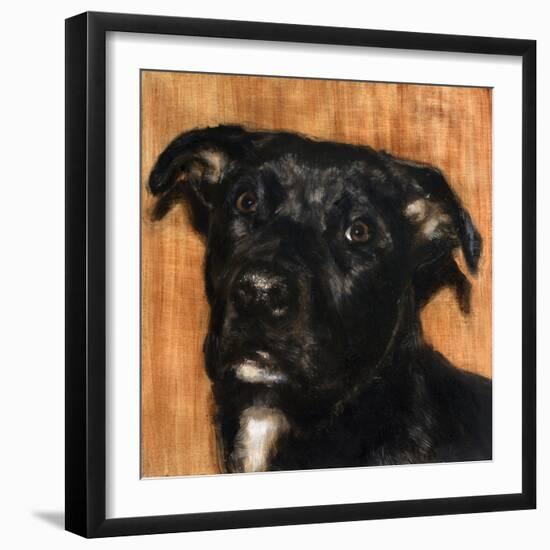 Puppy Dog Eyes I-Walt Johnson-Framed Art Print