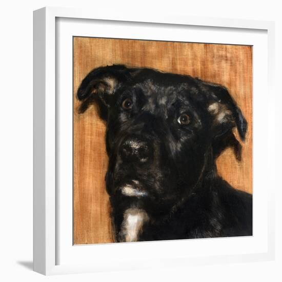 Puppy Dog Eyes I-Walt Johnson-Framed Art Print