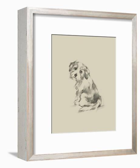 Puppy Dog Eyes III-Ethan Harper-Framed Art Print