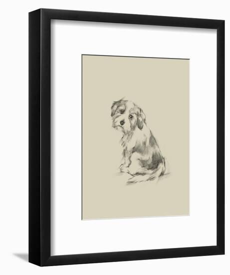 Puppy Dog Eyes III-Ethan Harper-Framed Art Print