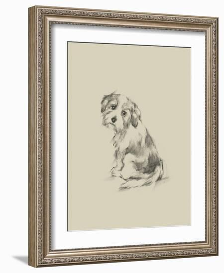 Puppy Dog Eyes III-Ethan Harper-Framed Art Print