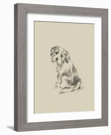 Puppy Dog Eyes III-Ethan Harper-Framed Art Print