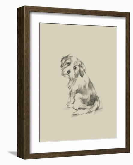 Puppy Dog Eyes III-Ethan Harper-Framed Art Print