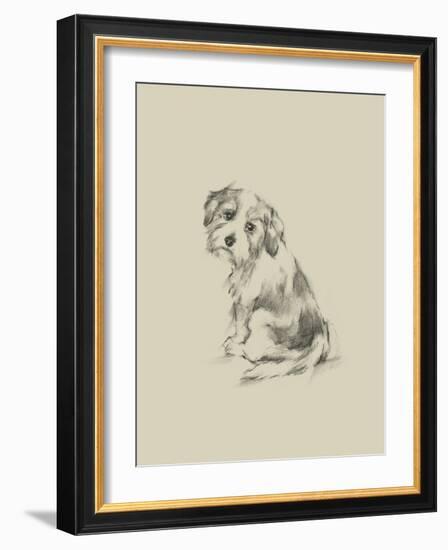 Puppy Dog Eyes III-Ethan Harper-Framed Art Print