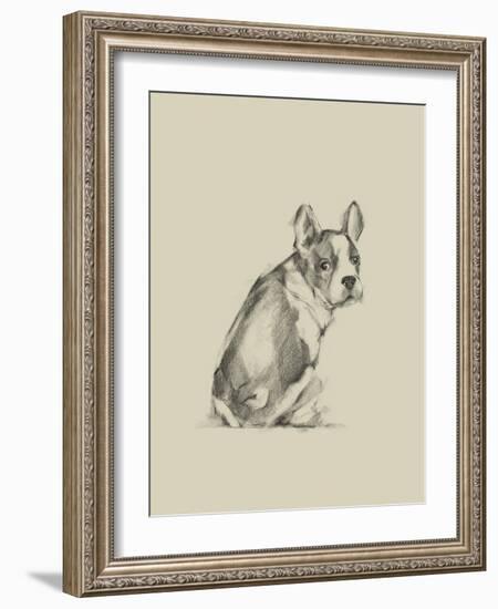 Puppy Dog Eyes IV-Ethan Harper-Framed Art Print