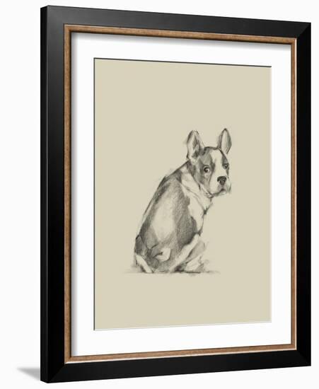 Puppy Dog Eyes IV-Ethan Harper-Framed Art Print