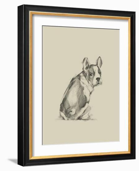 Puppy Dog Eyes IV-Ethan Harper-Framed Art Print