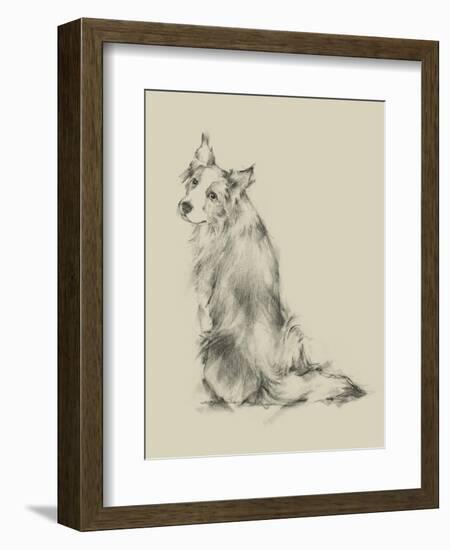 Puppy Dog Eyes VI-Ethan Harper-Framed Premium Giclee Print