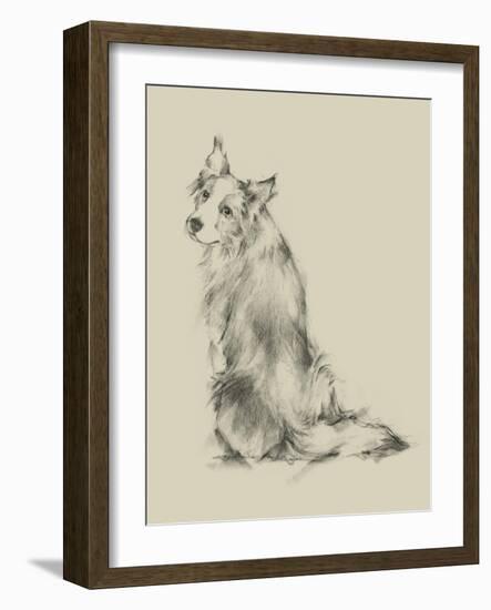 Puppy Dog Eyes VI-Ethan Harper-Framed Art Print