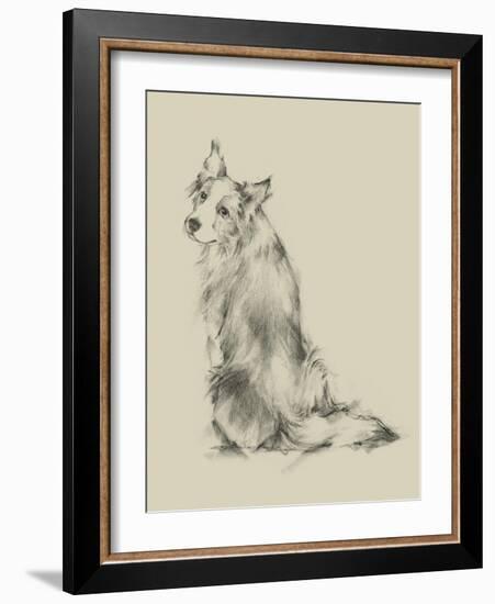 Puppy Dog Eyes VI-Ethan Harper-Framed Art Print