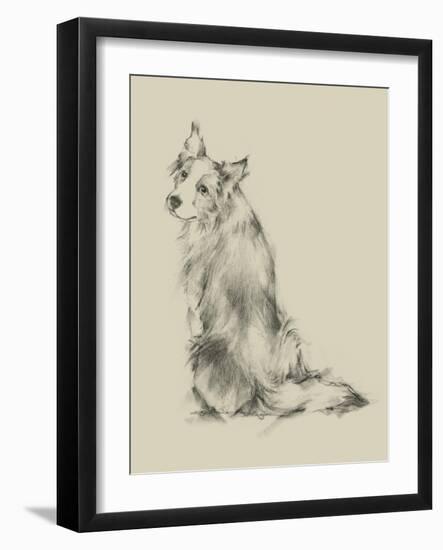 Puppy Dog Eyes VI-Ethan Harper-Framed Art Print