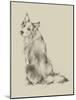 Puppy Dog Eyes VI-Ethan Harper-Mounted Art Print