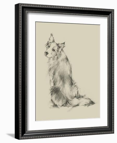 Puppy Dog Eyes VI-Ethan Harper-Framed Art Print