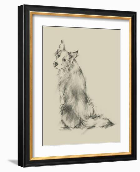 Puppy Dog Eyes VI-Ethan Harper-Framed Art Print