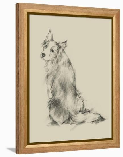 Puppy Dog Eyes VI-Ethan Harper-Framed Stretched Canvas