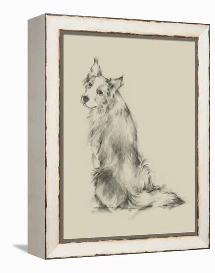 Puppy Dog Eyes VI-Ethan Harper-Framed Stretched Canvas