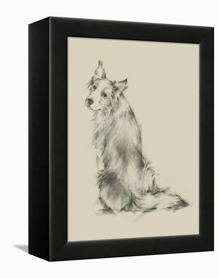 Puppy Dog Eyes VI-Ethan Harper-Framed Stretched Canvas