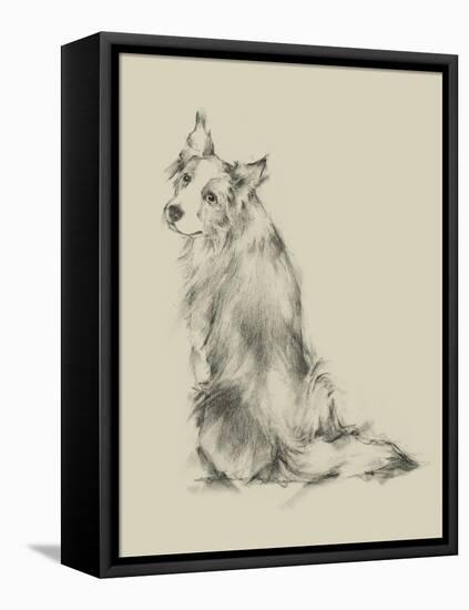 Puppy Dog Eyes VI-Ethan Harper-Framed Stretched Canvas