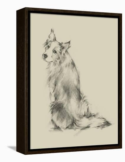 Puppy Dog Eyes VI-Ethan Harper-Framed Stretched Canvas