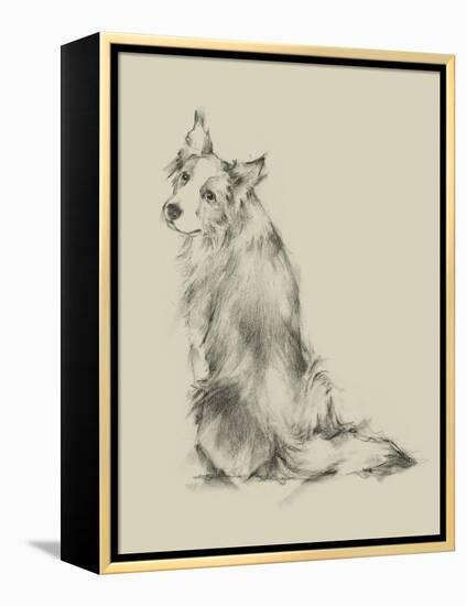 Puppy Dog Eyes VI-Ethan Harper-Framed Stretched Canvas