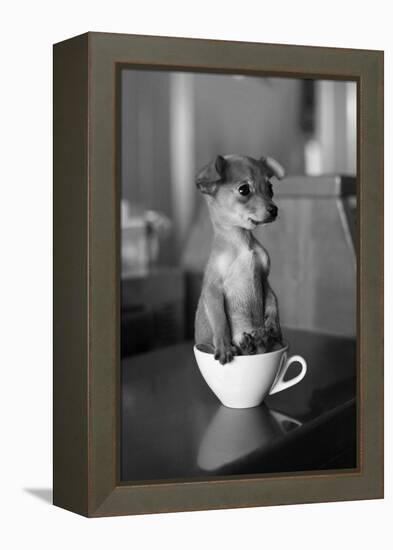 Puppy Dog in a Cup of Coffee-stokkete-Framed Premier Image Canvas