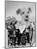 Puppy in a Christmas Box-Bettmann-Mounted Photographic Print
