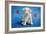 Puppy Lover-Will Bullas-Framed Giclee Print