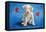 Puppy Lover-Will Bullas-Framed Premier Image Canvas