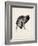 Puppy Profile I-Ethan Harper-Framed Art Print