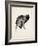 Puppy Profile I-Ethan Harper-Framed Art Print