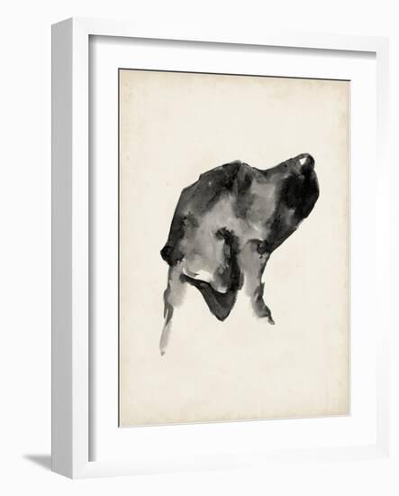 Puppy Profile I-Ethan Harper-Framed Art Print