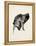 Puppy Profile I-Ethan Harper-Framed Stretched Canvas