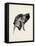 Puppy Profile I-Ethan Harper-Framed Stretched Canvas