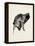 Puppy Profile I-Ethan Harper-Framed Stretched Canvas