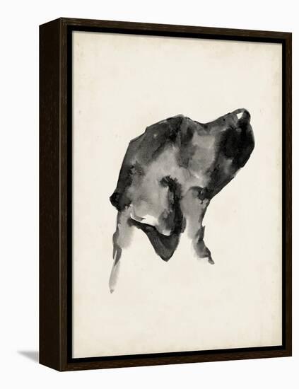 Puppy Profile I-Ethan Harper-Framed Stretched Canvas