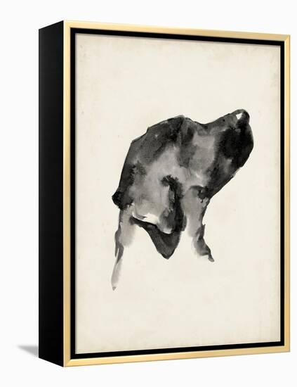 Puppy Profile I-Ethan Harper-Framed Stretched Canvas