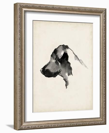 Puppy Profile II-Ethan Harper-Framed Art Print