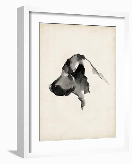 Puppy Profile II-Ethan Harper-Framed Art Print