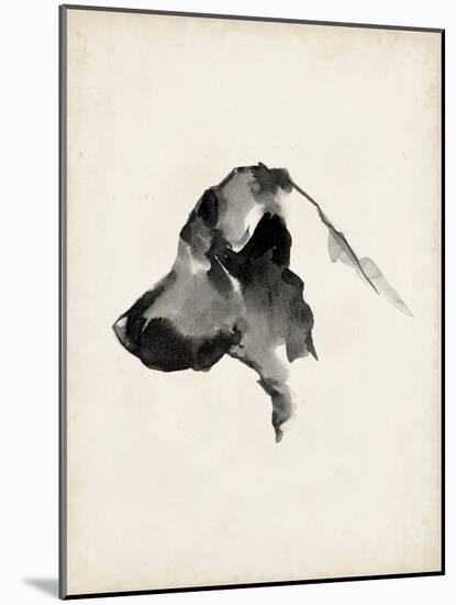 Puppy Profile II-Ethan Harper-Mounted Art Print