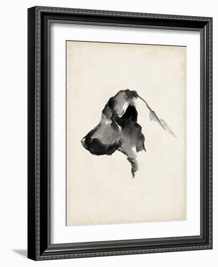 Puppy Profile II-Ethan Harper-Framed Art Print
