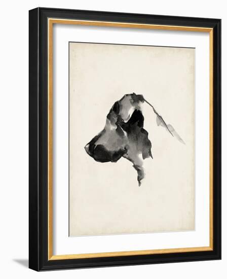 Puppy Profile II-Ethan Harper-Framed Art Print