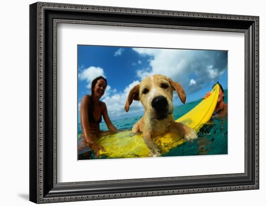 Puppy Riding on Surfboard-Rick Doyle-Framed Photographic Print