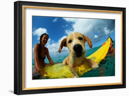 Puppy Riding on Surfboard-Rick Doyle-Framed Photographic Print