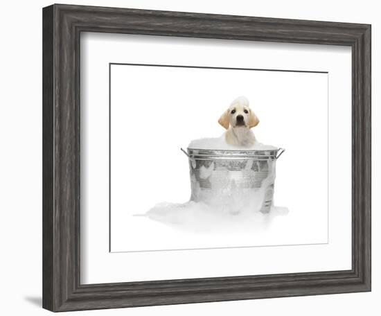 Puppy Taking Bath-Lew Robertson-Framed Photographic Print