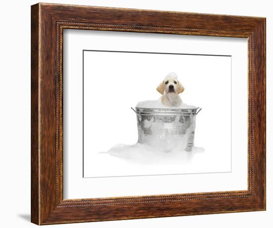 Puppy Taking Bath-Lew Robertson-Framed Photographic Print