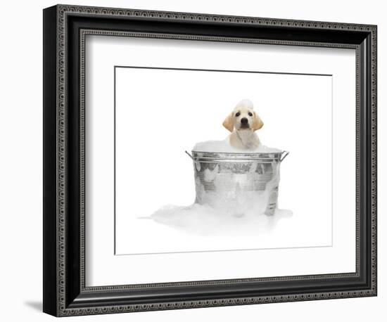 Puppy Taking Bath-Lew Robertson-Framed Photographic Print