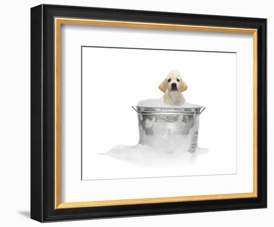 Puppy Taking Bath-Lew Robertson-Framed Photographic Print