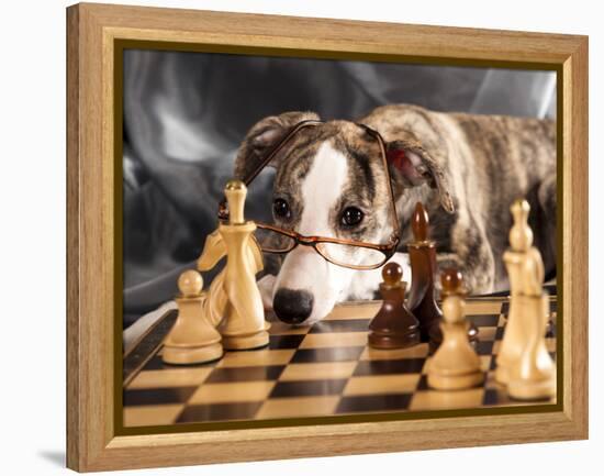 Puppy To Play Chess-Lilun-Framed Premier Image Canvas